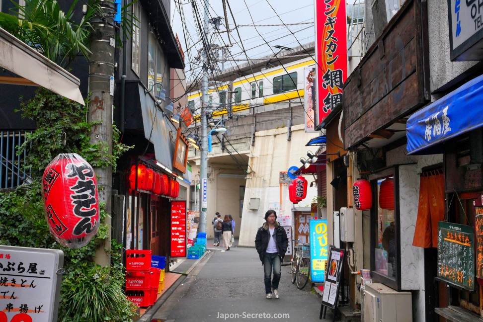 Estación de Ōkubo, líneas JR Chūo y Chūo-Sobu, en Tokio