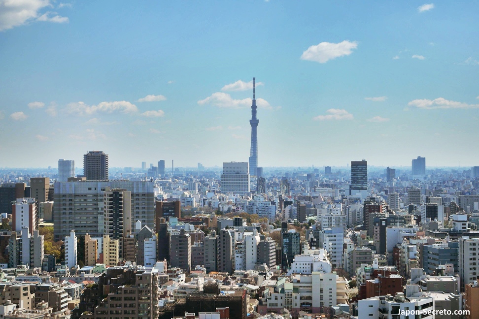 Vista de la torre Tokyo Skytree de Tokio