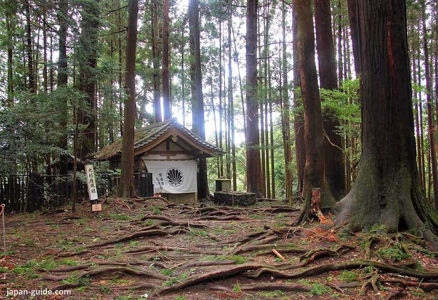 Ruta a pie de Kurama a Kibune. Foto: sendero de las raíces (木の根道, Kinone michi)