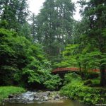 Shinrin yoku o baños de bosque en Japón: dónde y cómo. Foto: ruta de peregrinación Dewa Sanzan. Monte Haguro (Hagurosan). Bosque de arces y puente rojo