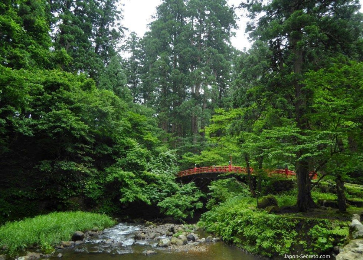 Shinrin yoku o baños de bosque en Japón: dónde y cómo. Foto: ruta de peregrinación Dewa Sanzan. Monte Haguro (Hagurosan). Bosque de arces y puente rojo