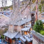 Sannenzaka y Ninenzaka, las dos calles más famosas del barrio de Higashiyama en Kioto, con tiendas a ambos lados, bajando de Kiyomizudera y con la vista de la pagoda Yasaka: cómo llegar, horario, cuándo visitar. Foto: Calle Sannenzaka con cerezos en flor.