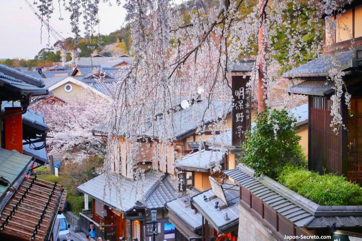 Sannenzaka y Ninenzaka, las dos calles más famosas del barrio de Higashiyama en Kioto, con tiendas a ambos lados, bajando de Kiyomizudera y con la vista de la pagoda Yasaka: cómo llegar, horario, cuándo visitar. Foto: Calle Sannenzaka con cerezos en flor.