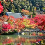 El templo Eikandō Zenrinji (永観堂禅林寺), Eikandō (永観堂) o Eikan-do al sur del barrio de Higashiyama en Kioto: cómo llegar, precio de la entrada y horario, qué ver y hacer, momiji