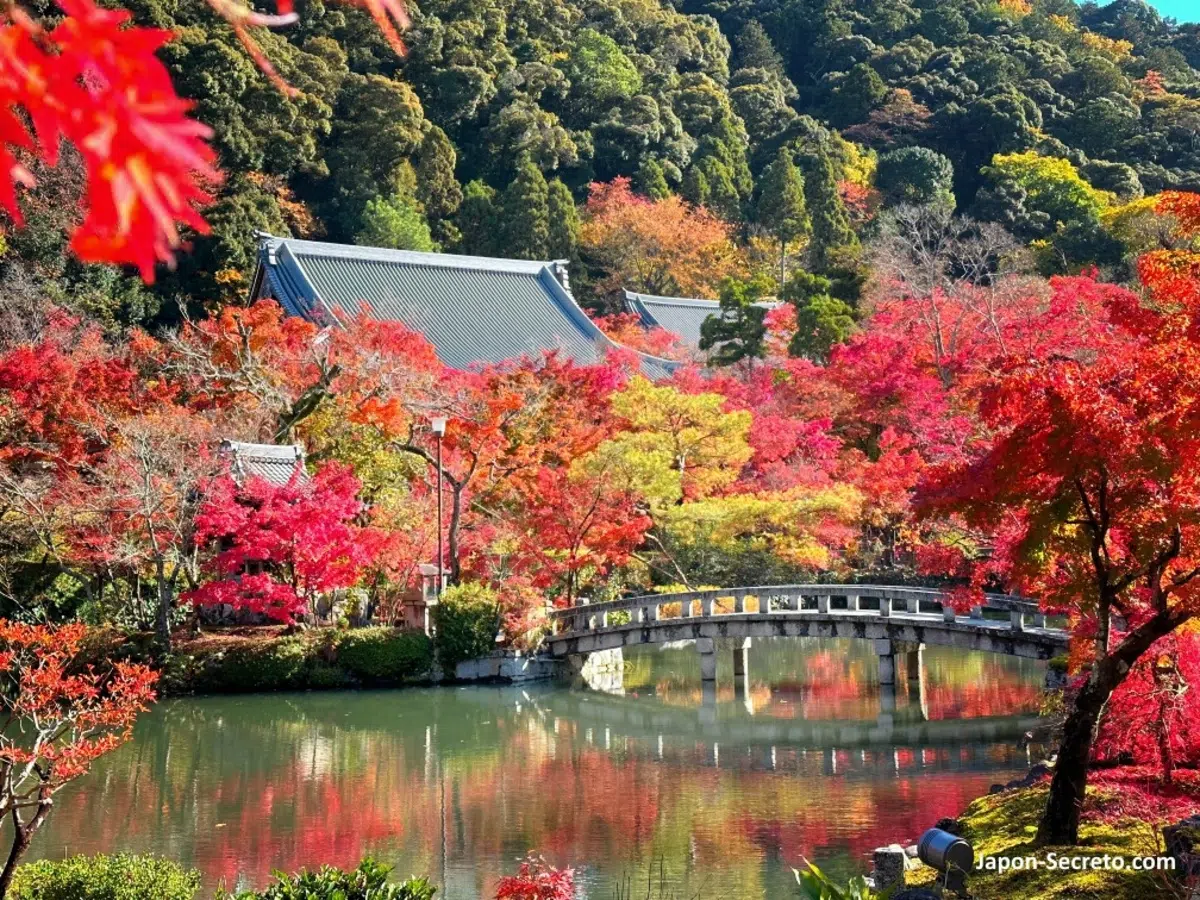 El templo Eikandō Zenrinji (永観堂禅林寺), Eikandō (永観堂) o Eikan-do al sur del barrio de Higashiyama en Kioto: cómo llegar, precio de la entrada y horario, qué ver y hacer, momiji