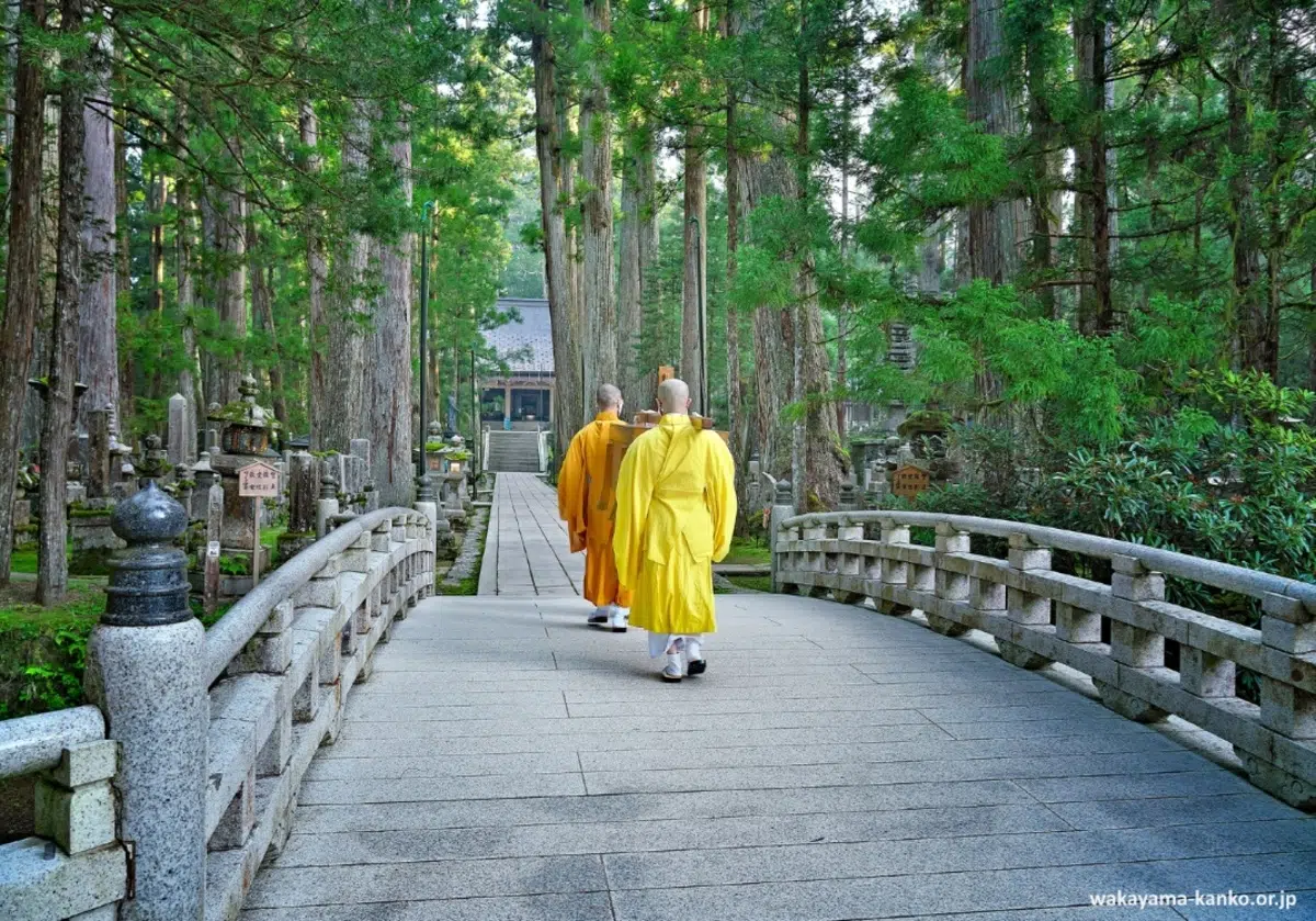Monte Koya o Koyasan (Wakayama): viaje desde Osaka o Kioto, qué ver en un día, rincones secretos, curiosidades. Foto: Cementerio Okunoin