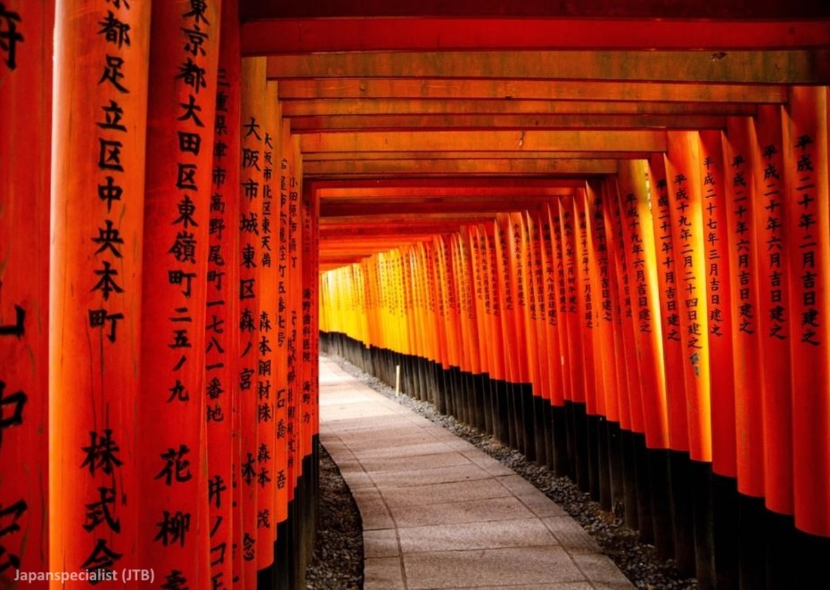 El mejor seguro de viaje para viajar a Japón por coberturas y precio con descuento: tabla comparativa y modalidades, cancelación, hospitalización, retraso en vuelos. Foto: las mil puertas torii del santuario Fushimi Inari Taisha de Kioto
