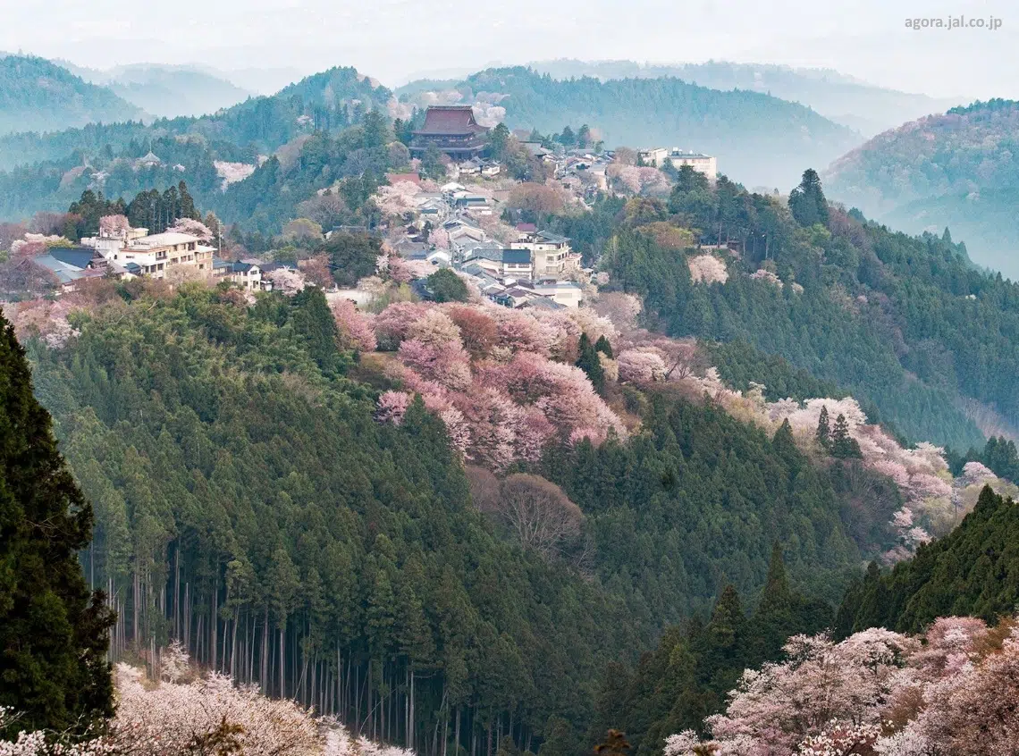 Vista general del Monte Yoshino o Yoshinoyama en Nara durante el florecer de los cerezos sakura