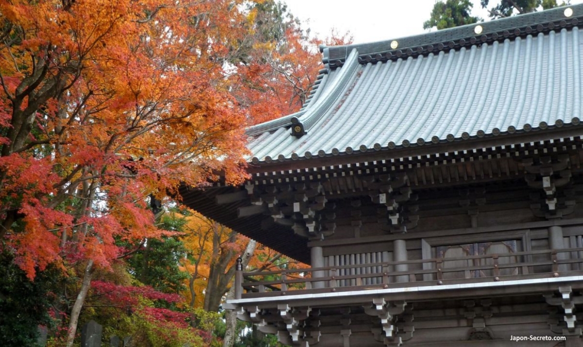 Noviembre en Japón, mes del momiji o colores rojos del otoño. Foto: Templo Yakuoin. Monte Takao o Takaosan en Tokio