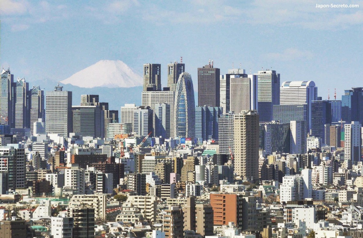 Qué ver en Tokio: guía básica de viaje, barrios y lugares principales. Foto: Vista del barrio de Shinjuku (Tokio) y el Monte Fuji desde el edificio Bunkyo Civic Center