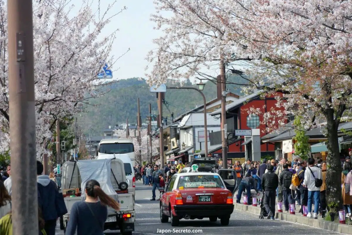 Arashiyama, distrito o barrio de Kioto: qué ver y hacer, cómo llegar, tours. Foto: Taxi y cerezos en flor en Arashiyama en abril