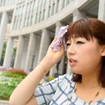 Cómo combatir el calor, las altas temperaturas y el alto grado de humedad relativa en un viaje a Japón en verano