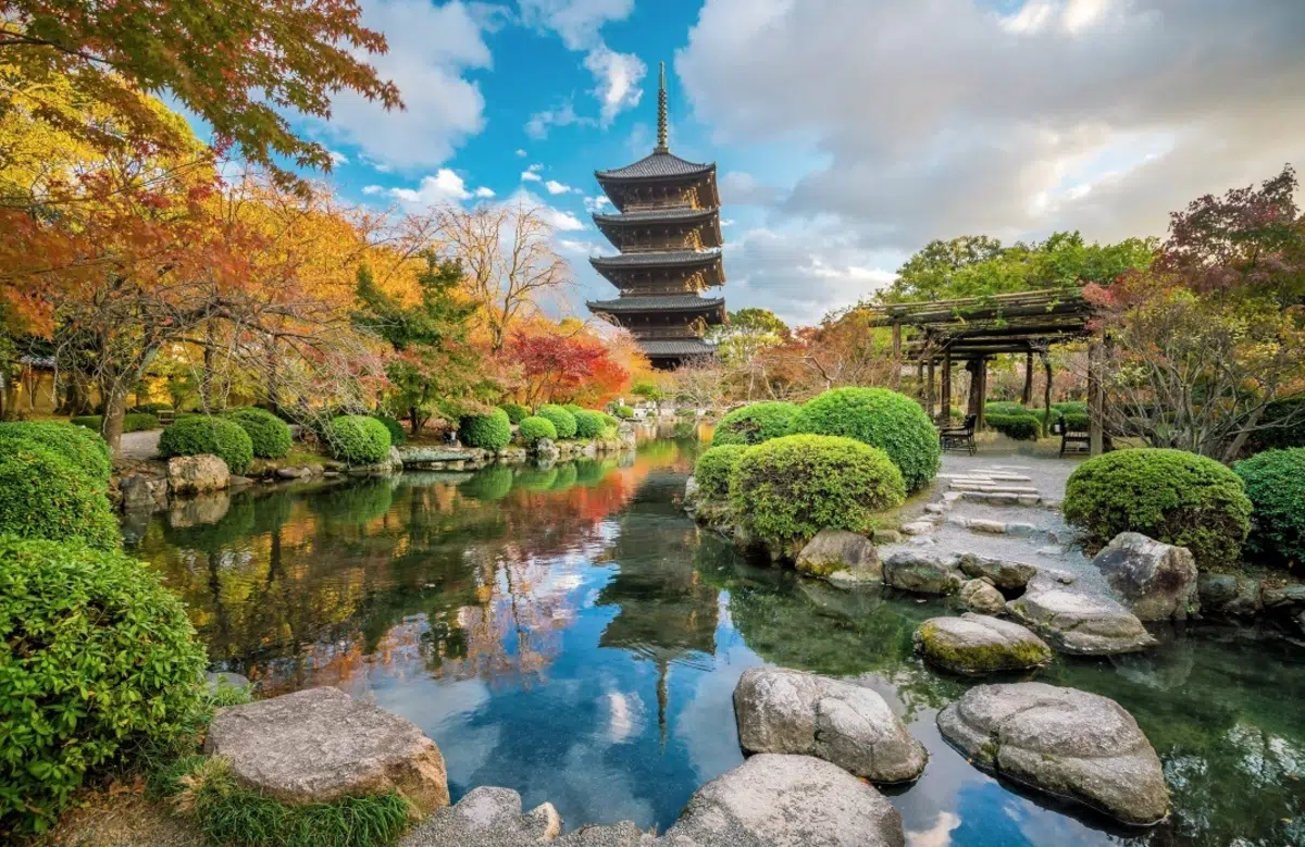 Templo Toji de Kioto y su pagoda: cómo llegar, que ver, precios, entradas, mercadillo mensual. Foto: Templo Toji (Kioto) al atardecer en otoño y momiji.