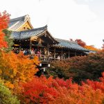 Templo Tōfuku-ji (東福寺) cubierto de momiji en Kioto durante el otoño en Japón