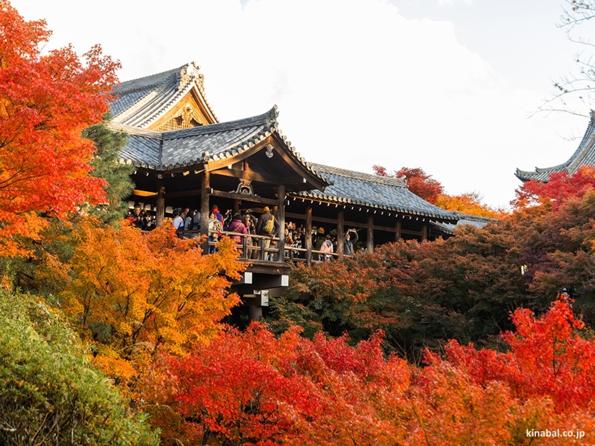 Templo Tōfuku-ji (東福寺) cubierto de momiji en Kioto durante el otoño en Japón