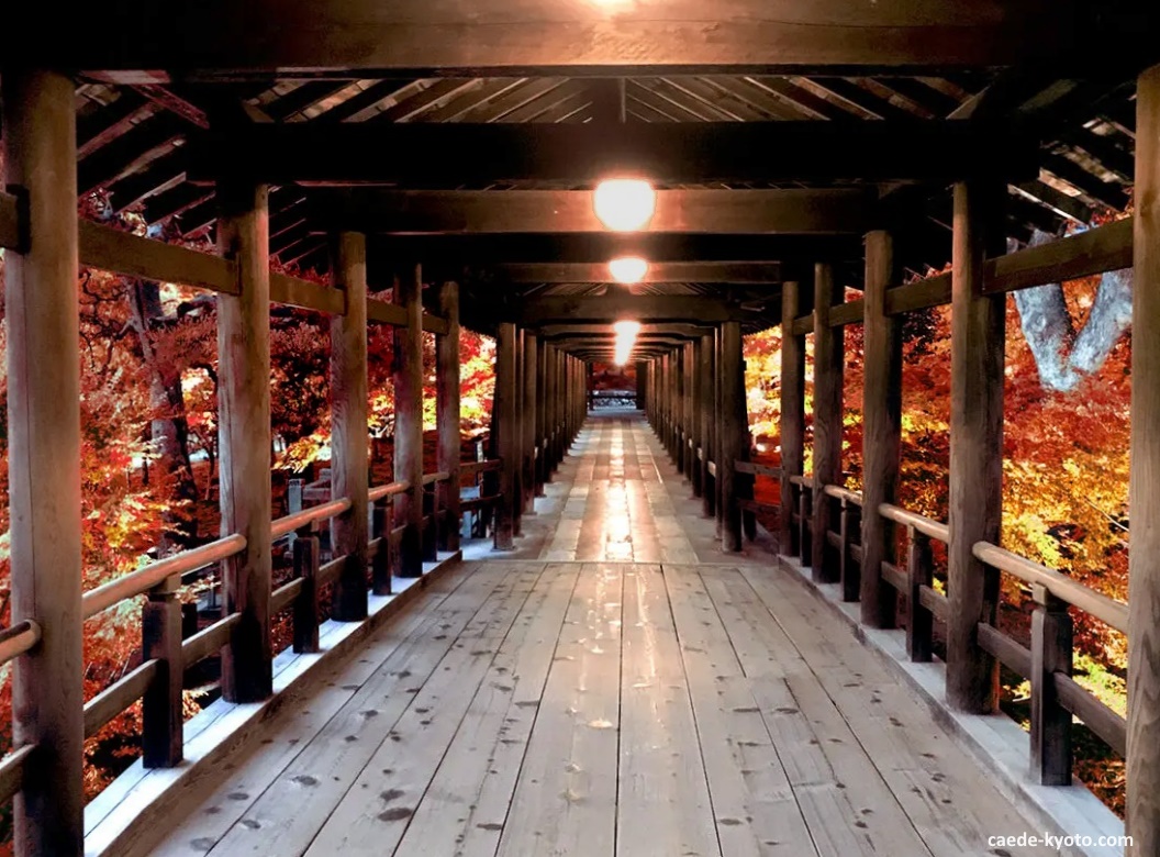 Vistas desde el puente del templo Tōfuku-ji (東福寺) en Kioto durante el momiji (otoño) en Japón iluminados por la noche