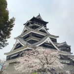 Castillo de Kumamoto (熊本城, Kumamotojō) en Kyushu en primavera con cerezos en flor o sakura: cómo llegar, qué ver, horario, entradas, precio
