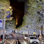 Iluminaciones de navidad en Tokio, luces de fin de año e invernales, dónde están los mejores montajes, cómo llegar, fechas de encendido. Foto: Iluminación de navidad en Tokio, en el barrio de Roppongi, en la calle Keyakizaka "Artelligent Christmas"