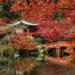Daigoji, el templo de Kioto más bonito en otoño: cómo llegar, horario, qué ver, japonismo