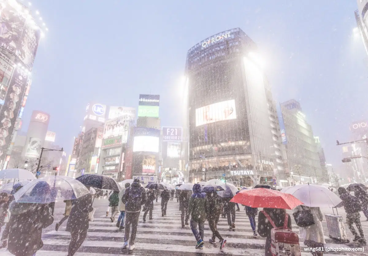 Cómo combatir el frío intenso en Japón en invierno: meses más fríos y temperaturas más bajas. Foto: Fuerte nevada en el famoso cruce del barrio de Shibuya (Tokio)