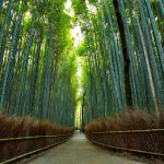 Seguro de viaje con enfermedades preexistentes o crónicas: precio, condiciones, coberturas, dónde y cómo contratar