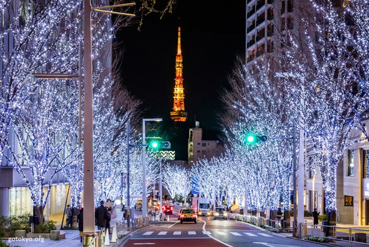 Tokio en diciembre: iluminación de navidad en sus calles. Foto: Iluminación en la calle Keyakizaka en el barrio de Roppongi