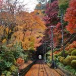 Monte Takao de Tokio: cómo llegar, qué ver, senderismo, momiji, naturaleza. Foto: funicular del monte Takao en otoño