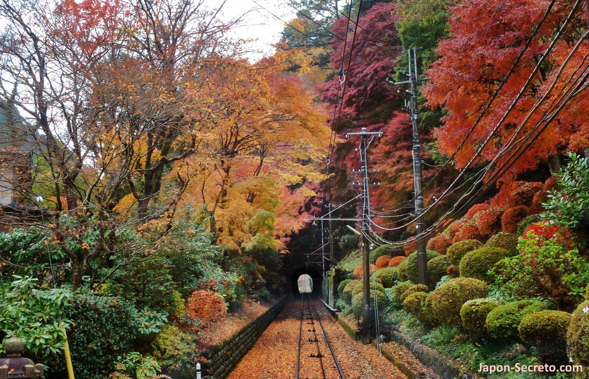 Monte Takao de Tokio: cómo llegar, qué ver, senderismo, momiji, naturaleza. Foto: funicular del monte Takao en otoño