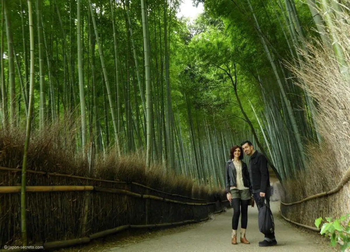 Japón Secreto: quiénes somos, por qué confiar en nuestra experiencia y por qué somos el mejor blog en español sobre el Japón oculto y desconocido