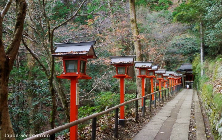 Sendero Tsuzura-ori (九十九折) de faroles rojos en el templo Kurama-dera (鞍馬寺) de Kurama, en el monte Kuramayama al norte de Kioto