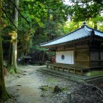 Recorrido a pie de Kurama a Kibune, en Kioto, sendero por el bosque en el monte Kurama, desde el templo Kurama-dera