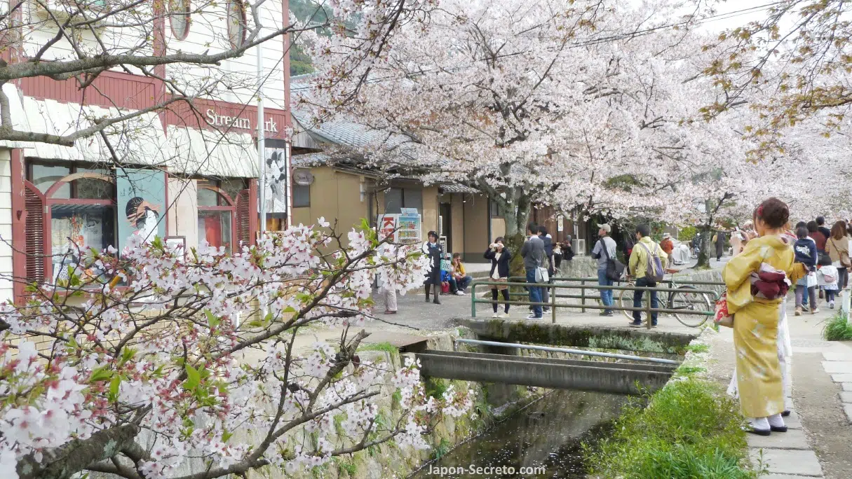 Camino del Filósofo, Paseo de la Filosofía o Sendero de la Filosofía (Tetsugaku No Michi, 哲学の道) de Kioto, un bello y tranquilo sendero a pie que transcurre a lo largo de un poético canal cubierto de árboles de cerezo en primavera y colores rojos en otoño: cómo llegar, mejor época, qué ver cerca. Lugar famoso en el japonismo