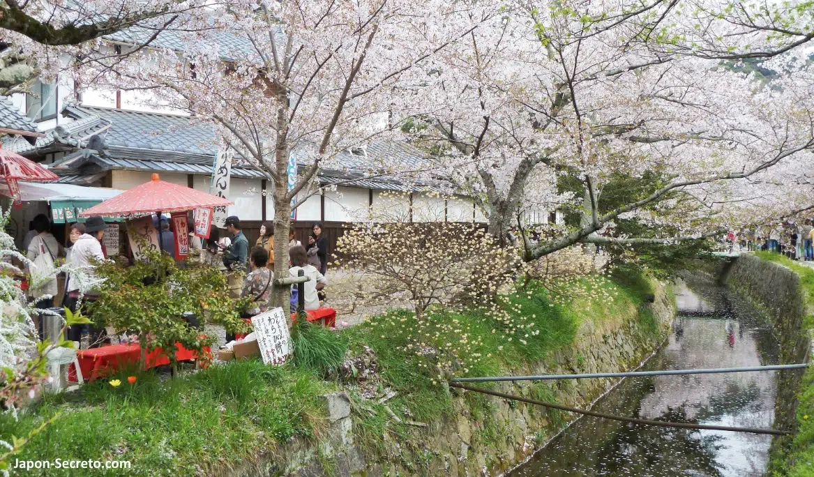 Camino del Filósofo, Paseo de la Filosofía o Sendero de la Filosofía (Tetsugaku No Michi, 哲学の道), un bello y tranquilo sendero a pie de Kioto que transcurre a lo largo de un poético canal cubierto de árboles de cerezo en primavera y colores rojos en otoño: cómo llegar, mejor época, qué ver cerca. Lugar famoso en el japonismo