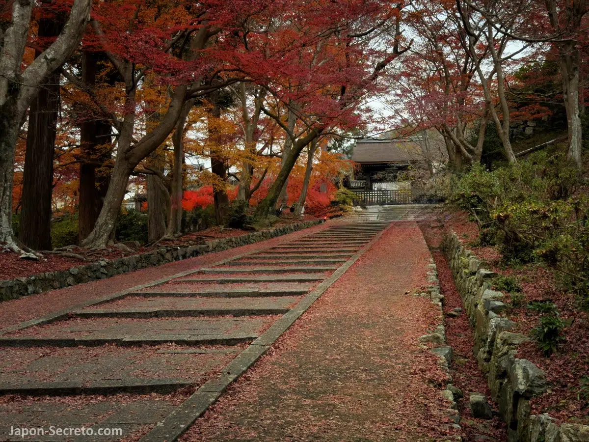 Famosa escalera de momiji (arces de color rojo en otoño) del templo Bishamondō (毘沙門堂) de Kioto