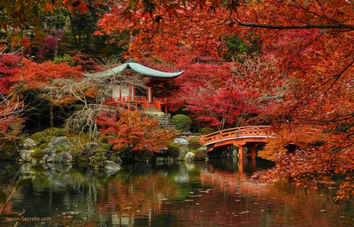 daigoji-otono_1200x770 Viaja a Japón con Japón Secreto: lugares más famosos, Japón desconocido, Japón rural y pueblos más bellos, onsen, itinerarios, comida, cómo organizar tu viaje, tours guiados