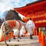 Santuario Kamigamo Jinja de Kioto: cómo llegar, precio de la entrada, horario, qué ver y hacer, eventos. Foto: Santuario Kamigamo de Kioto durante el ritual Hakuba Soran Shinji
