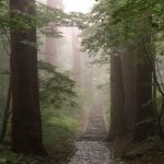 Dewa Sanza, ruta de peregrinación de las tres montañas de Dewa, en Yamagata: cómo llegar, dónde dormir, transporte público, horarios de autobuses. Foto: sendero de piedra de 2446 escalones en el Monte Haguro (Hagurosan)
