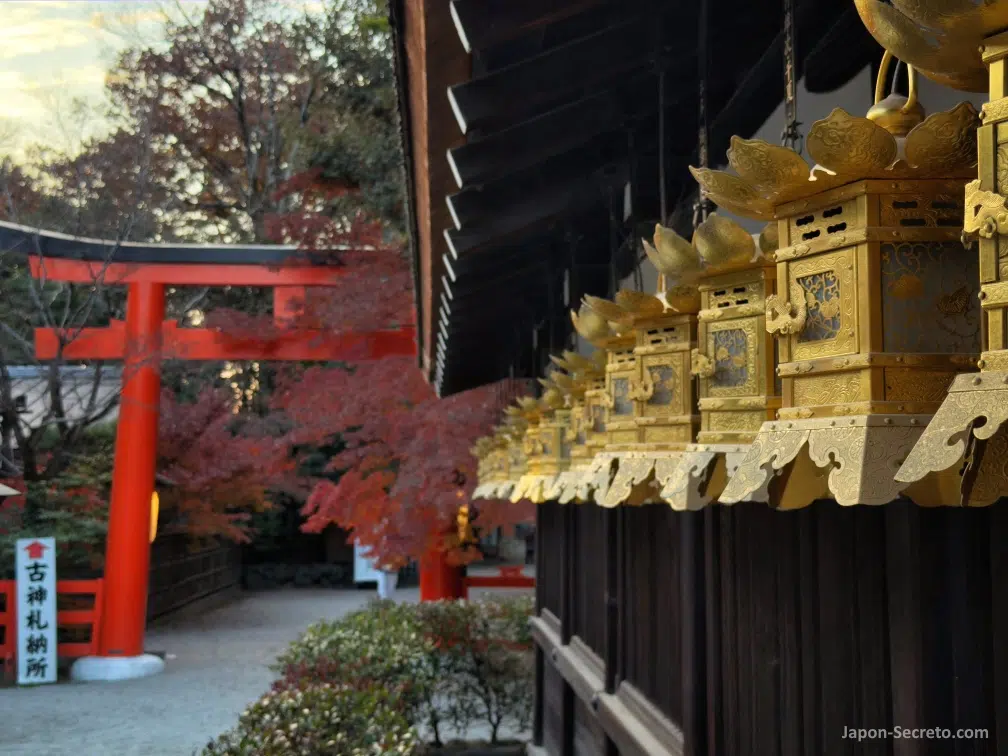 Faroles del santuario Shimogamo Jinja (下鴨神社) de Kioto en otoño