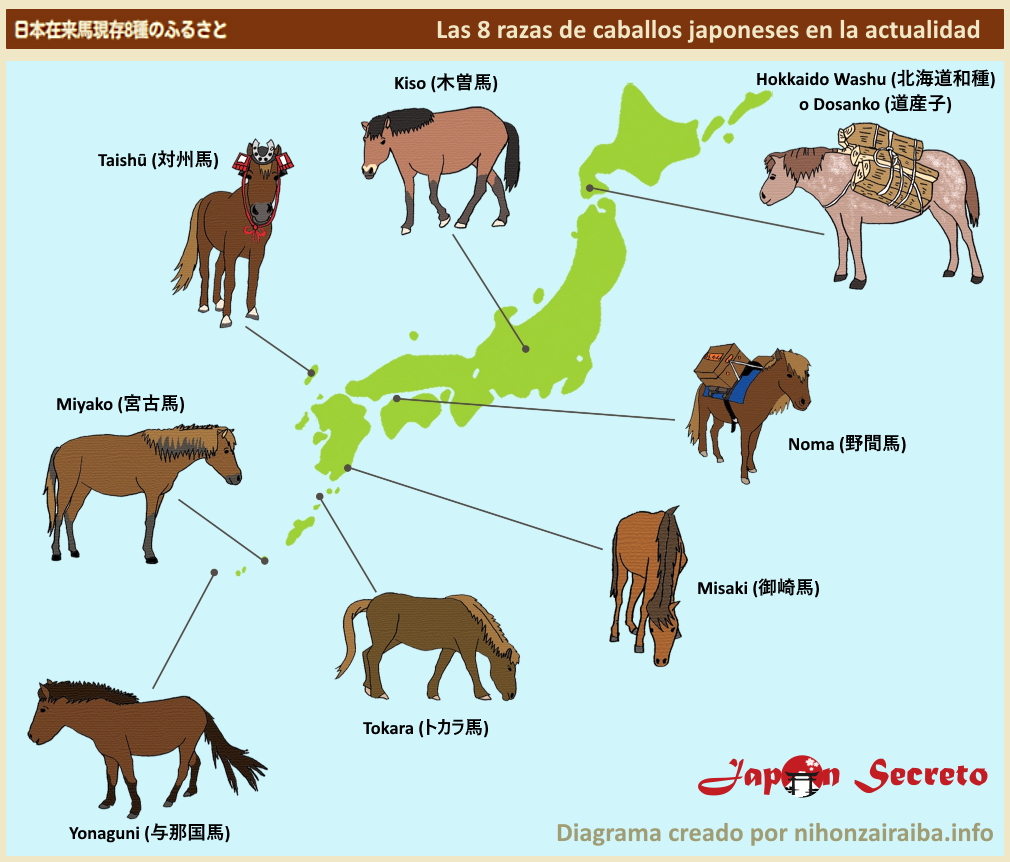 Razas de caballos japoneses en la actualidad