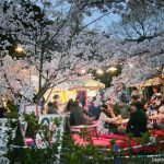 Maruyama Kōen (円山公園), el parque más famoso de los cerezos en Kioto para el hanami y su iluminación nocturna o yozakura: cómo llegar, horario, fechas, qué ver y hacer