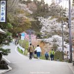 Lugares poco conocidos de Japón, incluso secretos, para ver cerezos sakura en flor lejos de las multitudes de Tokio y Kioto