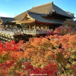 Templo Kiyomizudera de Higashiyama, en Kioto: cómo llegar, qué ver, precio de la entrada. Foto del templo en otoño y colores de los arces o momiji