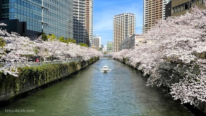Lugares tranquilos y menos visitados de Tokio para ver cerezos sakura en flor: cerca de la estación de Osaki (大崎駅)