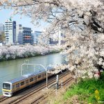 Lugares tranquilos y menos visitados de Tokio para ver cerezos sakura en flor con tranquilidad y sin agobios: dónde están, cómo llegar y cuándo visitar. Foto: Parque Sotobori (外濠公園) y línea Chuo de tren entre Iidabashi (飯田橋) y Yotsuya (四ツ谷)