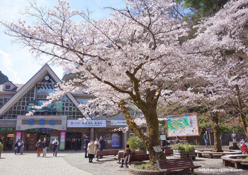 Lugares tranquilos y menos visitados de Tokio para ver cerezos sakura en flor: Monte Takao (高尾山). Foto de la estación