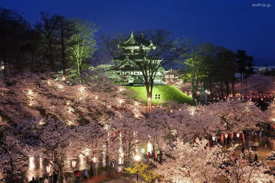 Yozakura (夜桜) o cerezos sakura en flor iluminados en el parque del castillo de Takada (Joetsu, Niigata)