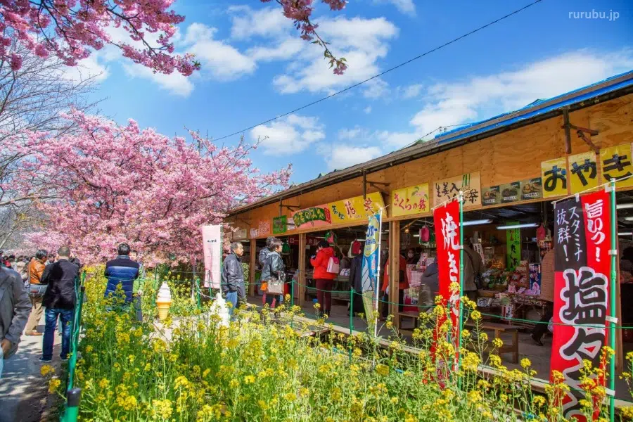 Puestos de comida (yatai) en el Kawazu Zakura Matsuri (河津桜まつり), el primer festival de cerezos sakura del año en Japón, celebrado en febrero