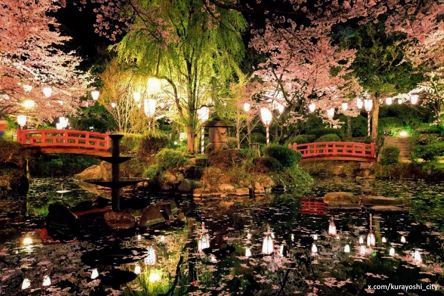 Yozakura (夜桜) o cerezos sakura en flor iluminados en el parque Utsubuki de Kurayoshi (en Tottori)