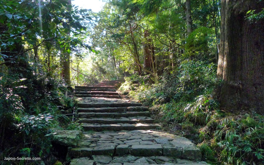 Daimonzaka (大門坂),l un antiguo sendero de piedra por el que se llega a pie hasta el santuario Kumano Nachi Taisha (熊野那智大社) en la peregrinación Kumano Kodo (Wakayama, Japón)