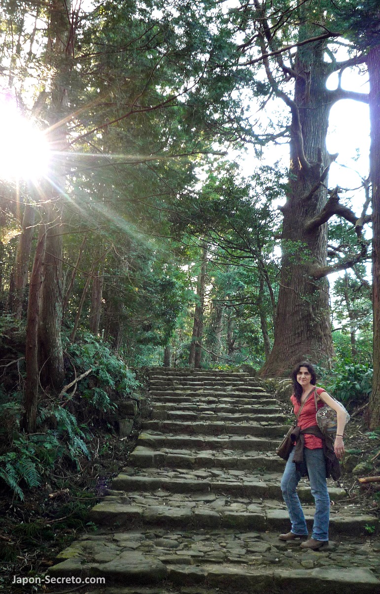 Subiendo por Daimonzaka (大門坂),l un antiguo sendero de piedra por el que se llega a pie hasta el santuario Kumano Nachi Taisha (熊野那智大社) en la peregrinación Kumano Kodo (Wakayama, Japón)